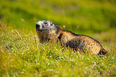 榴莲导航：导航新秀崛起，出行更轻松-3