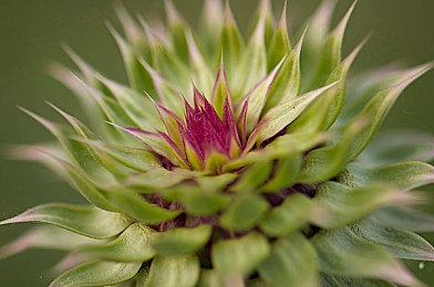 星空无极限MV国产剧哪里能看:星MV热播,揭秘科幻奇幻世界-5