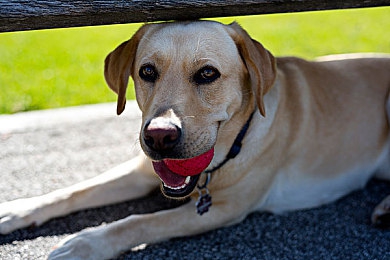 豪妇荡乳1一5潘金莲：古代女性逆袭，网络文学佳作引关注-3