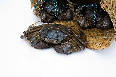 美女脱的干干净净视频软件：游戏新潮流，颠覆体验大揭秘-3