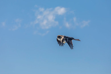 少妇厨房伦性做爰：厨房温馨互动引关注，家庭幸福引热议-3