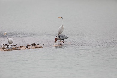 山村小嫩苞1-17集：山村青春梦，情感纠葛起-5