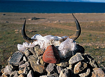 女人被添全过程A片添：网络暴力惊心，女性权益谁来守护？-3