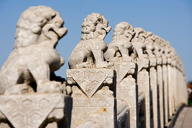 uzun haya kopkan manta.：神秘魔鬼鱼南海现身，科研价值引关注-3