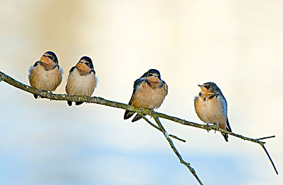 美女脱的干干净净视频软件：游戏新潮流，颠覆体验大揭秘-4