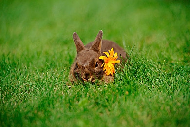 动漫男同♂被 到爽了流：手游新宠，动漫冒险世界等你探索-2