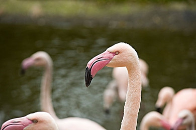 深夜黄色：夜色中那抹温暖的黄，点亮归途-3