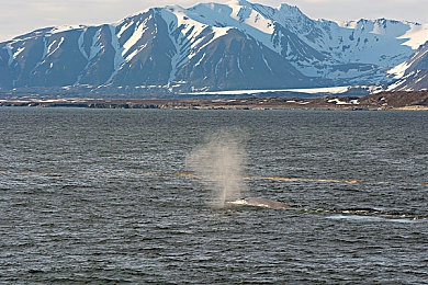 404黄台软件免费大全：免费软件宝藏库，揭秘404黄台奥秘-4