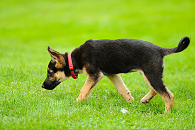 老师穿旗袍被c到高潮：穿越旗袍老师，传承文化魅力-2