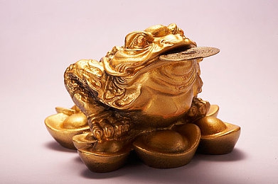 两个男生做酿酿酱酱酱:新秀联手创奇迹,奇幻游戏引热潮-2