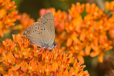 做爱软件：情感互动游戏走红，揭秘社交新潮流