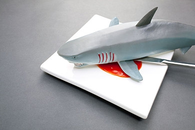 体育生白袜自慰出精 网站：揭秘“体育生白袜”网站谣言真相-5