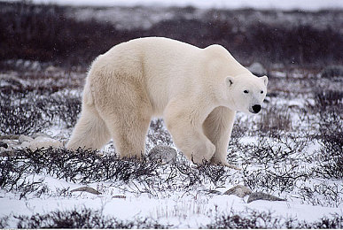 嗯灬啊灬把腿张开灬A片视频软件：揭秘“嗯啊把腿张开”：隐私泄露低俗内容！