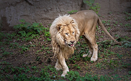 十大禁止安装应用入口下载:网络应用陷阱多,小心十大禁用应用!-2
