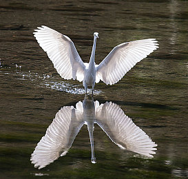 女同学裸体趴下光屁股：校园裸趴事件：青春期叛逆还是道德沦丧？-1