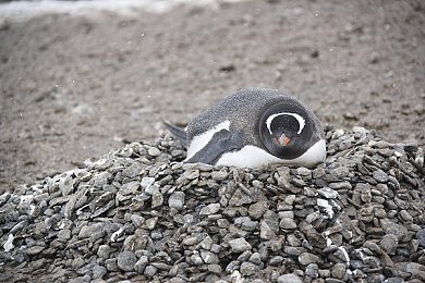 麦乐迪版女超人：女超人KTV表演走红，正能量偶像成榜样-2