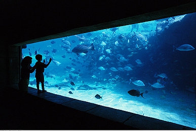 打扑克的剧烈运动：扑克牌游戏：意想不到的身心益处-2