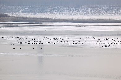 艳女直播广告：直播新宠，艳女直播广告助力品牌崛起-2