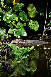 蜜芽796.coo永不失联：奇幻世界，永不失联，蜜芽796.coo独领风骚-4