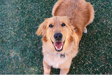 老头吃护士的奶头呻吟：医院哺乳惊现不雅事件，护士权益引关注-2