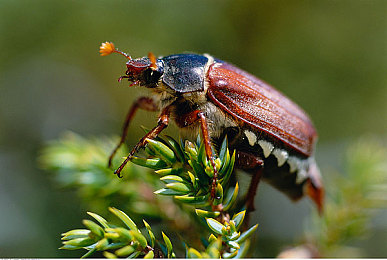 《麦乐迪·马克斯：女超人》：女超人冒险之旅，游戏新体验-4