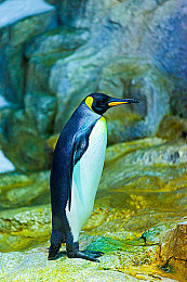 男生女生一起差差app：趣味问答社交新宠，男女互动共筑美好-3