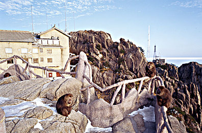 麦乐迪版女超人满天星：勇敢追梦女超人，音乐传奇引关注-4