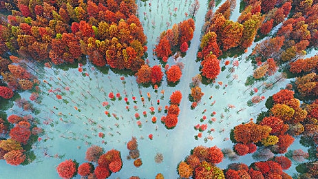 大菠萝福建官网海纳百川：福建“大菠萝”官网亮相，游戏新纪元！-4