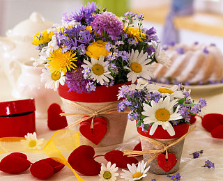 丰满女人和藏獒伦配：藏獒深情陪伴，动物与人类情感新篇章-5