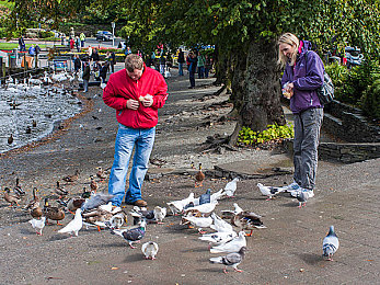 男女干逼软件：网络怪谈：揭秘“干逼软件”传播之谜-4