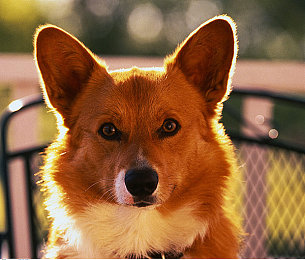 揉我胸 啊 嗯出水了描述：商场惊现不雅举动，女子痛苦挣扎！-1