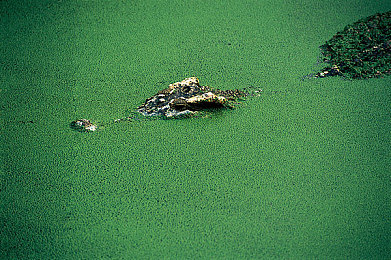 体育生gaYGAYS 浴室网站：电竞明星独门放松术，揭秘“浴室网站”的秘密-2