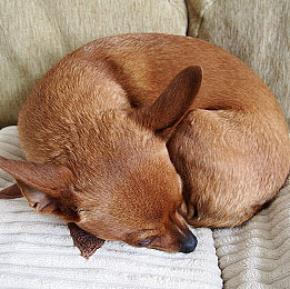 白丝   流了好多水游戏：神秘冒险之旅：探寻“白丝”之谜-4