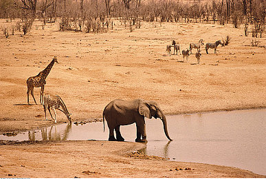 大少女哔哩哔哩更新内容预告：游戏大更新！新角色剧情来袭，福利满满-2