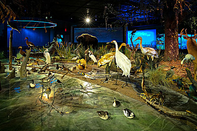 火影忍者18禁：《火影忍者》18禁内容引热议，经典之作如何平衡？-3