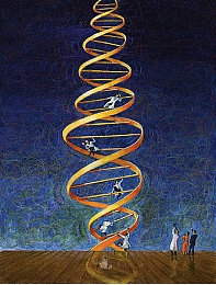 法国空姐满天星法版：星辉照耀：法航空姐风采：优雅专业，闪耀全球-4