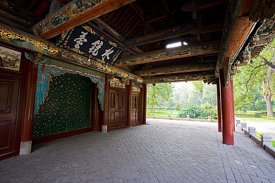 农场与牛zOZ0性行为：农场奇遇，牛zOZ0行为大揭秘-2