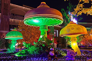 女留学生被黑人玩到翻白眼:留学生遭遇不尊重,校园安全引关注-3