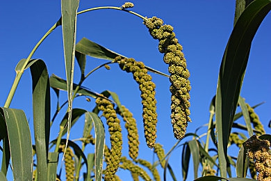 阿娇脱了内裤打开腿让人躁：《狂野乐园》阿娇英勇救公主，游戏新亮点引期待-3