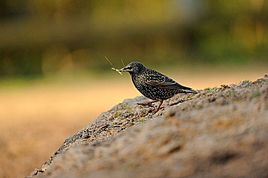 欧美日韩一卡2卡三卡4卡新区:探秘多元文化,新区玩法盛宴来袭-1
