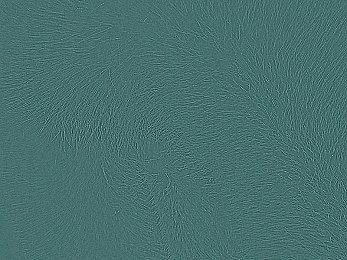 他强而有力的律动让我快乐的作文：街头吉他手，律动治愈心灵-3