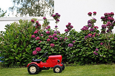 黄色视频应用：游戏新宠：激情时刻，视觉盛宴来袭-4