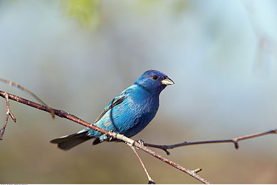 性猛交xxxx富婆老太婆：奇幻世界冒险，富婆老太婆成焦点-4