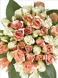 雏鸟圆你一个萝莉梦：萝莉服饰新风尚，品牌“雏鸟”引领潮流-5