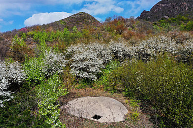 XXX少妇在厨房XxX：《梦幻厨神》厨艺大师XXX少妇，烹饪魅力引热议-3