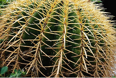 男女二人上床打扑克：酒店扑克大战，情侣情绪失控-3