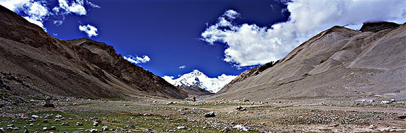 十大晚上禁用应用：晚睡一族必看：揭秘十大手机“害睡”应用-5