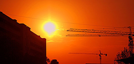 手脚绑上拿刷子刷尿道孔：宠物主新招清洁宠物尿道引热议-2