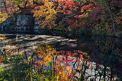 男生把小肌伸到女生的小肌里:爱在指尖,情感之旅等你开启-4