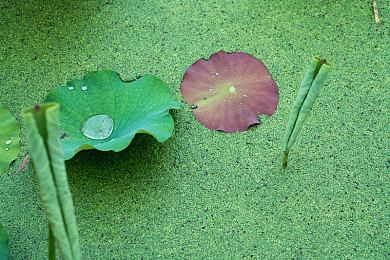 69乐园个人登录入口 手机版：手游新宠：69乐园手机版来袭，畅玩无界！-3